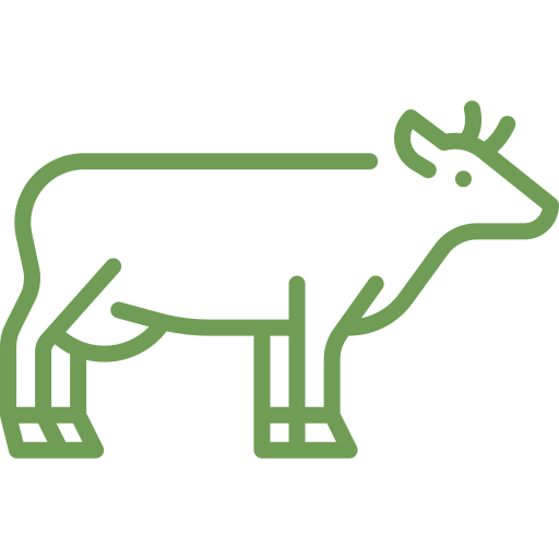 cow2